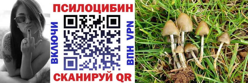 Псилоцибиновые грибы GOLDEN TEACHER  ссылка на мегу ССЫЛКА  Сысерть 